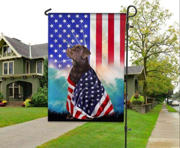 Chocolate Labrador Retriever American Patriot